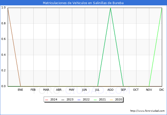 estadsticas de Vehiculos Matriculados en el Municipio de Salinillas de Bureba hasta Febrero del 2024.
