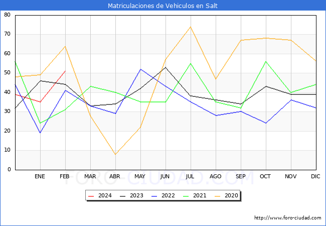 estadsticas de Vehiculos Matriculados en el Municipio de Salt hasta Febrero del 2024.