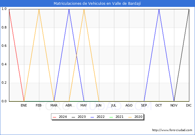 estadsticas de Vehiculos Matriculados en el Municipio de Valle de Bardaj hasta Febrero del 2024.