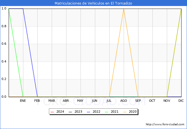 estadsticas de Vehiculos Matriculados en el Municipio de El Tornadizo hasta Febrero del 2024.