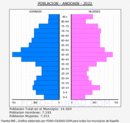 Andoain - Pirmide de poblacin grupos quinquenales - Censo 2022
