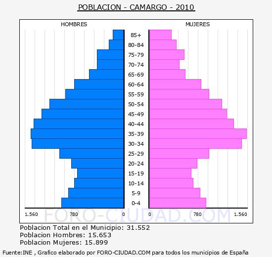 CAMARGO - Piramide de poblacion - Censo 2010