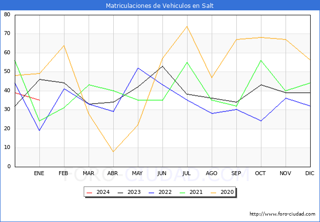 estadísticas de Vehiculos Matriculados en el Municipio de Salt hasta Enero del 2024.