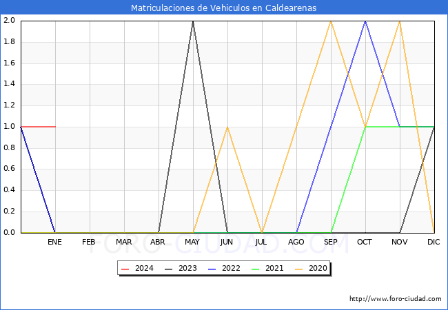 estadísticas de Vehiculos Matriculados en el Municipio de Caldearenas hasta Enero del 2024.