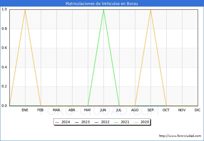 estadsticas de Vehiculos Matriculados en el Municipio de Borau hasta Febrero del 2024.