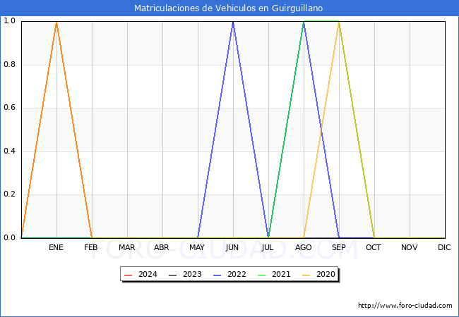 estadsticas de Vehiculos Matriculados en el Municipio de Guirguillano hasta Febrero del 2024.