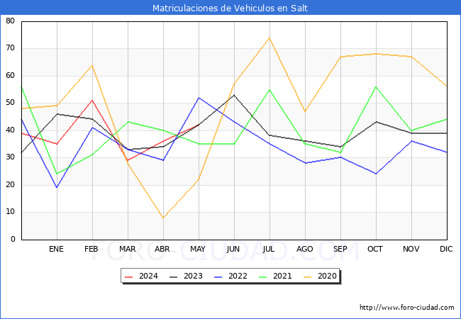 estadsticas de Vehiculos Matriculados en el Municipio de Salt hasta Mayo del 2024.