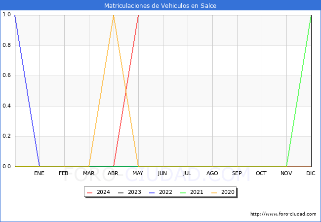 estadsticas de Vehiculos Matriculados en el Municipio de Salce hasta Mayo del 2024.