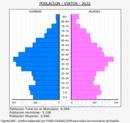 Viator - Pirámide de población grupos quinquenales - Censo 2022