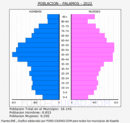Palamós - Pirámide de población grupos quinquenales - Censo 2022