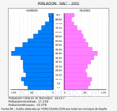 Salt - Pirámide de población grupos quinquenales - Censo 2022
