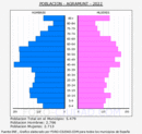 Agramunt - Pirámide de población grupos quinquenales - Censo 2022