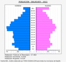 Balaguer - Pirámide de población grupos quinquenales - Censo 2022