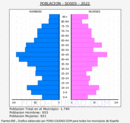 Soses - Pirámide de población grupos quinquenales - Censo 2022