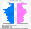 Tremp - Pirámide de población grupos quinquenales - Censo 2022