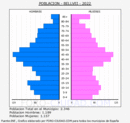 Bellvei - Pirámide de población grupos quinquenales - Censo 2022