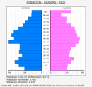 Riudoms - Pirámide de población grupos quinquenales - Censo 2022