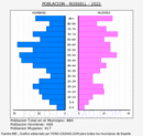 Rossell - Pirámide de población grupos quinquenales - Censo 2022