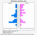 Villores - Pirámide de población grupos quinquenales - Censo 2022