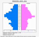 Ador - Pirámide de población grupos quinquenales - Censo 2022