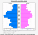 Llombai - Pirámide de población grupos quinquenales - Censo 2022