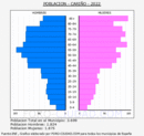 Cariño - Pirámide de población grupos quinquenales - Censo 2022
