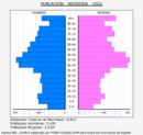 Negreira - Pirámide de población grupos quinquenales - Censo 2022