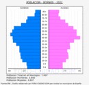 Bornos - Pirámide de población grupos quinquenales - Censo 2022