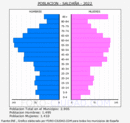 Saldaña - Pirámide de población grupos quinquenales - Censo 2022