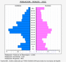 Roales - Pirámide de población grupos quinquenales - Censo 2022