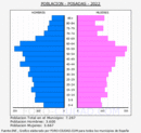 Posadas - Pirámide de población grupos quinquenales - Censo 2022