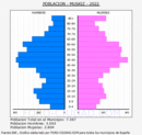 Muskiz - Pirámide de población grupos quinquenales - Censo 2022