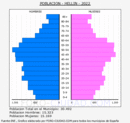 Hellín - Pirámide de población grupos quinquenales - Censo 2022