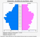 Bolaños de Calatrava - Pirámide de población grupos quinquenales - Censo 2022