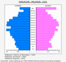 Malagón - Pirámide de población grupos quinquenales - Censo 2022
