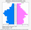 Pozuelo de Calatrava - Pirámide de población grupos quinquenales - Censo 2022