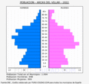 Arcas - Pirámide de población grupos quinquenales - Censo 2022