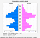 Cobisa - Pirámide de población grupos quinquenales - Censo 2022