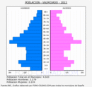 Valmojado - Pirámide de población grupos quinquenales - Censo 2022
