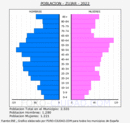 Zújar - Pirámide de población grupos quinquenales - Censo 2022