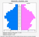 Peligros - Pirámide de población grupos quinquenales - Censo 2022