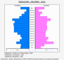 Palomas - Pirámide de población grupos quinquenales - Censo 2022