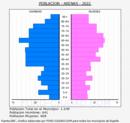 Arenas - Pirámide de población grupos quinquenales - Censo 2022