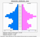 Bormujos - Pirámide de población grupos quinquenales - Censo 2022