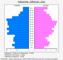 Peñaflor - Pirámide de población grupos quinquenales - Censo 2022