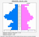 Callús - Pirámide de población grupos quinquenales - Censo 2022