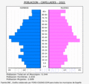 Capellades - Pirámide de población grupos quinquenales - Censo 2022