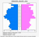 Sallent - Pirámide de población grupos quinquenales - Censo 2022
