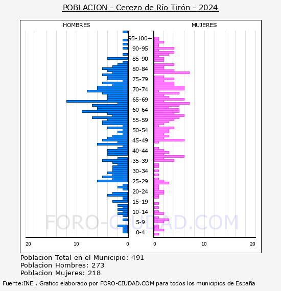 Cerezo de Ro Tirn - Pirmide de poblacin por aos- Censo 2024