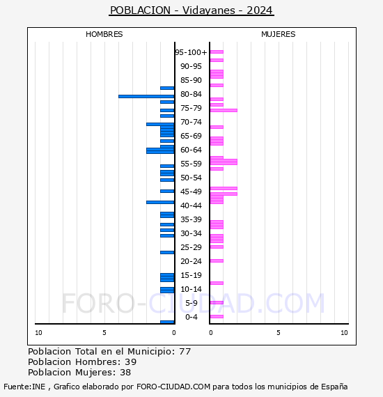 Vidayanes - Pirmide de poblacin por aos- Censo 2024